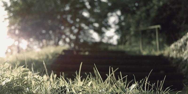 从P4到P4Runtime:深度解析可编程数据平面如何重塑网络架构的未来