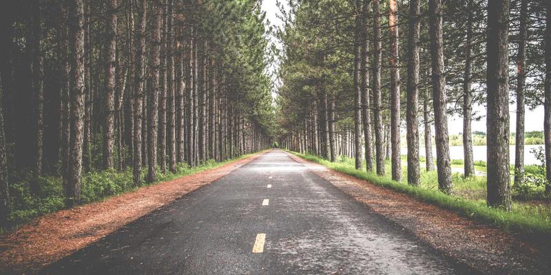 从混沌到预见：手把手构建网络数字孪生，用仿真与AI实现预测性运维革命