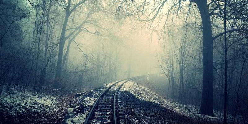 从零开发CNI插件：构建跨主机容器网络的实战指南