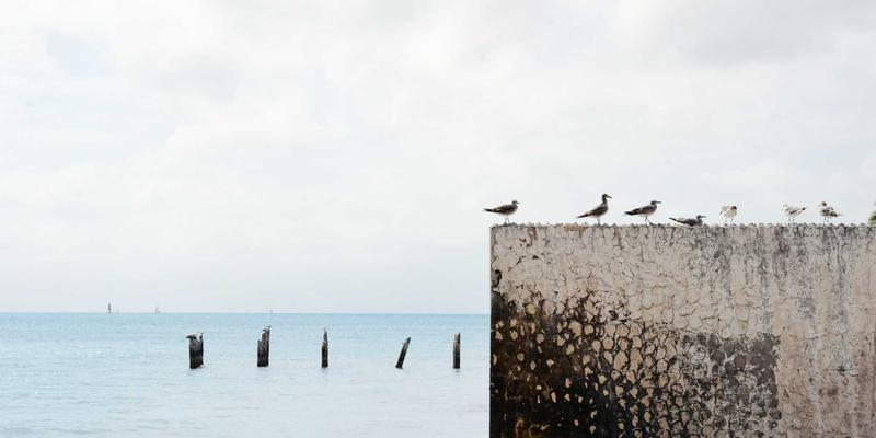 告别命令行恐慌:基于意图的网络(IBN)实战,用代码重构你的网络运维