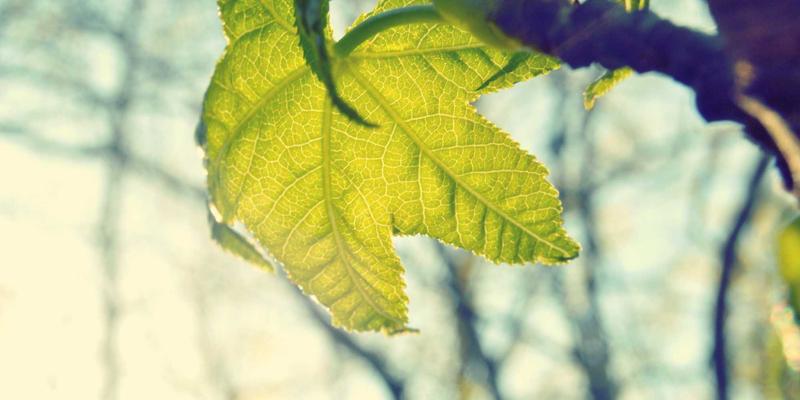 无线通信新革命：一文读懂智能反射面(RIS)技术原理与未来部署蓝图