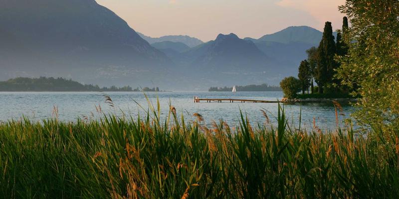 网络技术新范式：SD-WAN与SASE融合架构的实战部署与资源分享