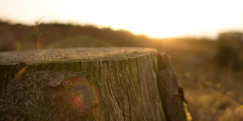 量子加密通信：下一代网络安全的“终极铠甲”与技术实现前瞻